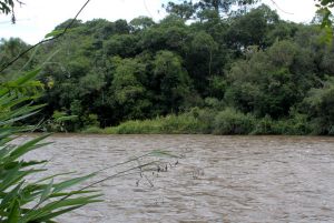 pch-pulo (30)